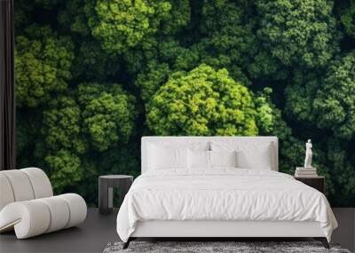  dense green forest Wall mural