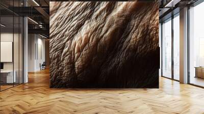 Close-up of the skin texture on an old woman's hand,  Wall mural