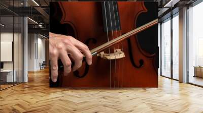 CLOSE UP OF MALE HAND PLAYING CELLO ON DARK BACKGROUND. Wall mural