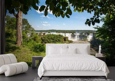 Iguazu Falls Framed by Nature Wall mural