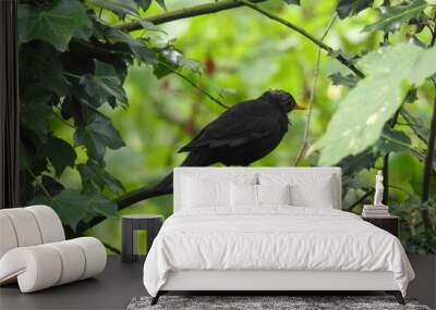 Black bird on a small branch Wall mural