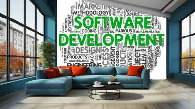 Software development concept in tag cloud Wall mural