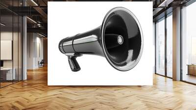 3d megaphone on isolated transparent background Wall mural