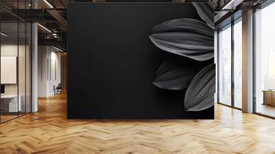 Monochromatic Flower Petals on a Black Background Wall mural