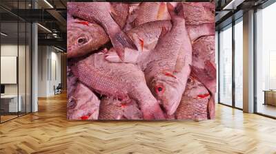 A vibrant and bustling fish market scene featuring a variety of fresh fish displayed on ice. The image captures the rich textures and colors of the fish, highlighting their freshness and quality. The  Wall mural