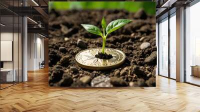 a small plant growing on a coin lying on the ground. Green investment concept, Collecting money to invest. Financial growth concept Wall mural