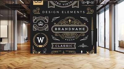 Set of retro vintage graphic design elements. Sign, frame labels, ribbons, logos symbols, crowns, flourishes line and ornaments. Vector illustration Wall mural