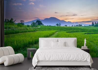 indonesia beauty landscape paddy fields in north bengkulu natural beautiful morning view from Indonesia of mountains and tropical forest Wall mural