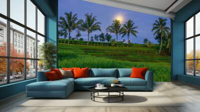 Strawberry moon view in June with green panorama of rice fields and Indonesian coconuts Wall mural