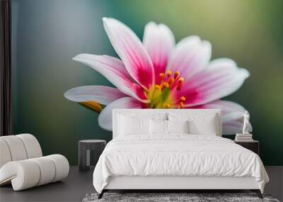 Beautiful lilies flower Wall mural