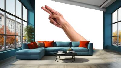 Hand gesture pointing two fingers isolated on a transparent background Wall mural