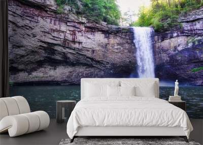 Nature, landscape, waterfalls, cumberland plateau, TN, flower, trees Wall mural