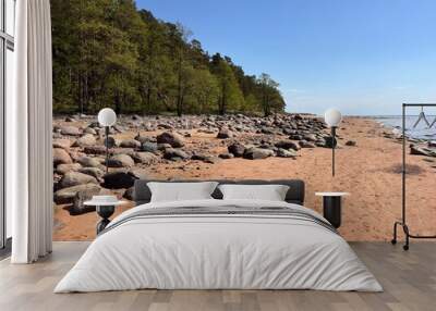 beach and rocks Wall mural