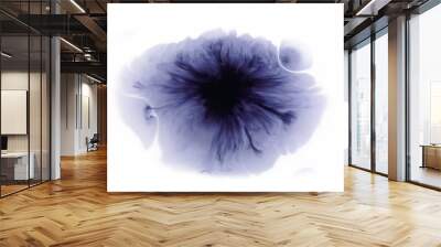 Beautiful watercolor ink drops on white paper, paint bleed Bloom, with black circle organic flow expanding, splatter spreading on clear background. Perfect for motion graphics, digital composition Wall mural