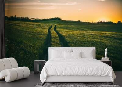 A beautiful shot of tire track path through a thick green field at sunset Wall mural