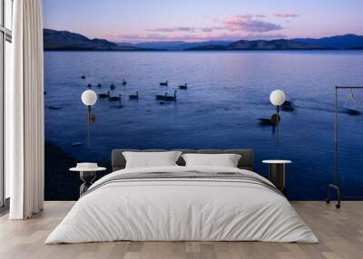 Flathead Lake Montana Wall mural