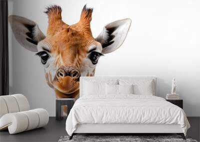 A close-up portrait of a cute giraffe with big, expressive eyes shows its gentle, curious nature. Wall mural