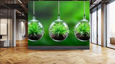 A glass terrarium filled with green plants hangs elegantly against a lush green backdrop. Wall mural