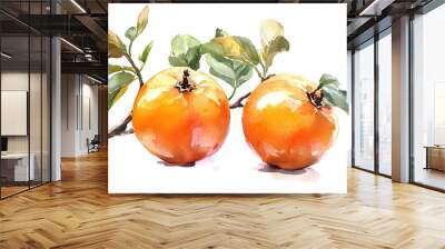 Watercolor painting of two orange fruits with green leaves, capturing the fresh and vibrant essence of the fruit in a delicate and artistic style. Wall mural