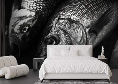 Close-up of Two Fish with Gills and Scales in Black and White Wall mural