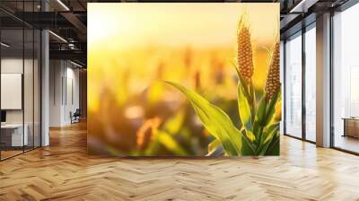 Golden Corn Ears with Sunlight and Lush Green Leaves Wall mural