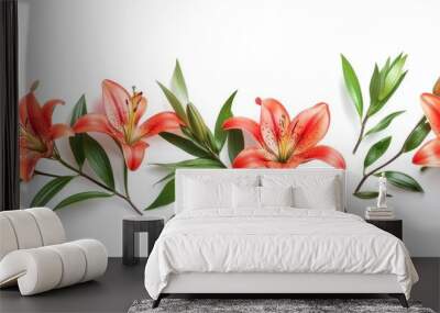 Orange Lily Flowers and Green Leaves on White Background Wall mural