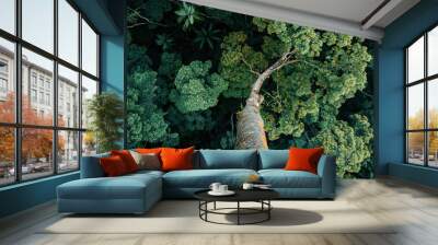 A top view of green tree UHD wallpaper Wall mural