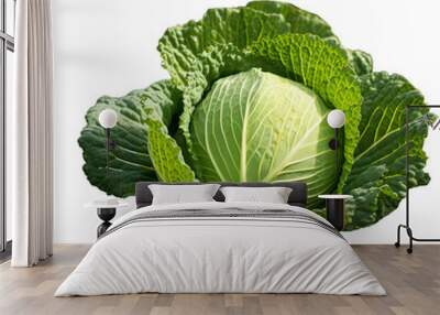 illustration of cabbage in the field close, Isolated on transparent PNG background, Generative ai Wall mural