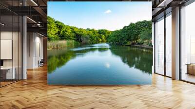 lake in the forest with blue cloudy sky in the background. Wall mural