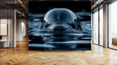 Monochrome close-up of a vaquita porpoise ( Phocoena sinus ) or cochito head emerging from water, ai generated Wall mural