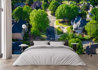 Top down view of beautiful houses in an upscale subdivision in suburbs of USA Wall mural