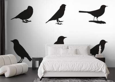 Set of black bird silhouettes. Vector elements for design. Wall mural