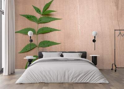 Neem leaves or Azadirachta Indica used as ayurvedic medicine with ground neem paste and juice Used in skin care, beauty products and creams. Wall mural