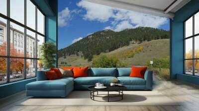 Countryside view with clear blue skies in the mountains Gilpin County, Colorado  Wall mural