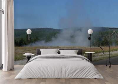 The most popular Old Faithful geyser releasing steam during an eruption at Yellowstone National Park. Wall mural