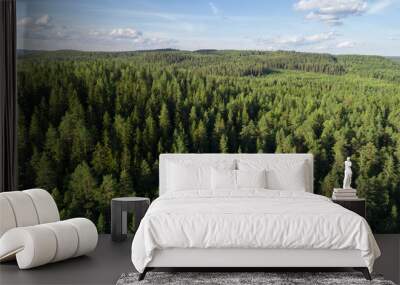 aerial view of beautiful fir forest. sunny summer day and blue sky. Wall mural