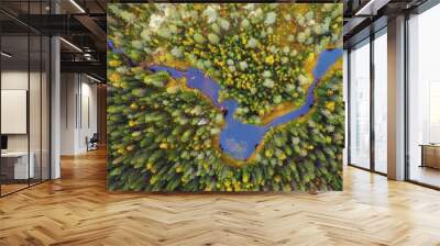 Autumn forest with yellow and red trees and blue river aerial view. Wall mural