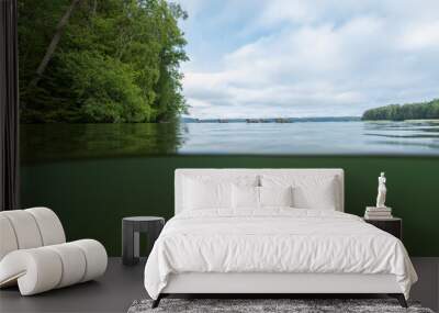 Half over half under the water surface at lake in Finland. Half underwater view. Beautiful blue sky and white clouds. Wall mural