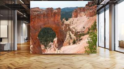 Arch in Bryce Canyon, USA Wall mural