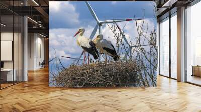 Closeup of stork couple in nest, blue sky and wind turbines background - sustainable nature friendly clean power supply concept (focus on storks) Wall mural