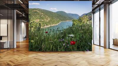 Macedonia mountains in summer, sunny day with colourful flowers in first plan and lake in background Wall mural