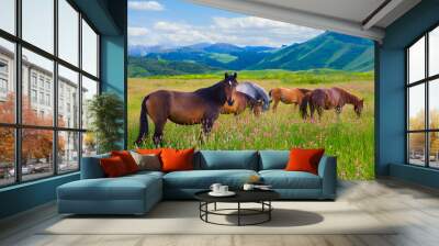 horses are grazed on a meadow Wall mural