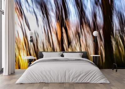 View of a forest at sunset with a motion blur Wall mural