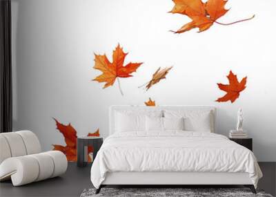 Autumn fall banner with falling maple leaves . Flying color leaves, on white background Wall mural