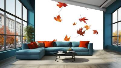 Autumn fall banner with falling maple leaves . Flying color leaves, on white background Wall mural