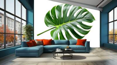 monstera green leaf isolated Wall mural