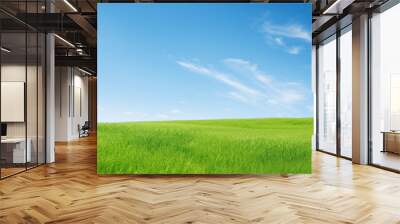 green grass blue sky Wall mural