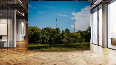 Natural view of a green field and forest with two satellite towers in the background Wall mural