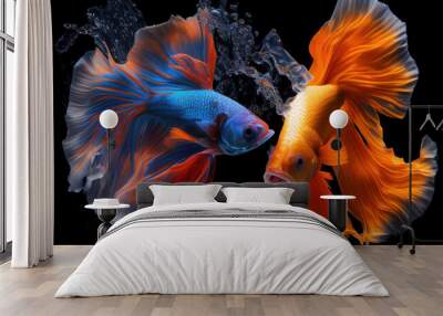 Two agressive beta fish Wall mural