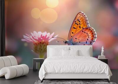 butterfly in beautiful colours on flower . in spring  Wall mural